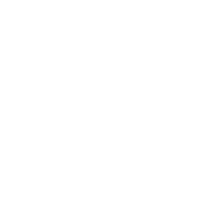 Icono Servicio 02