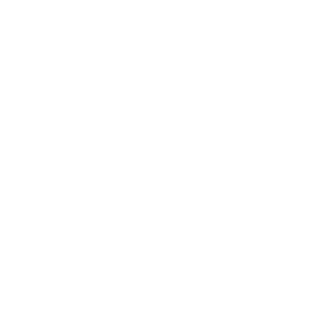 Icono Servicio 03