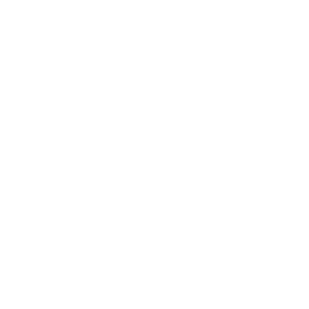 Icono Servicio 04